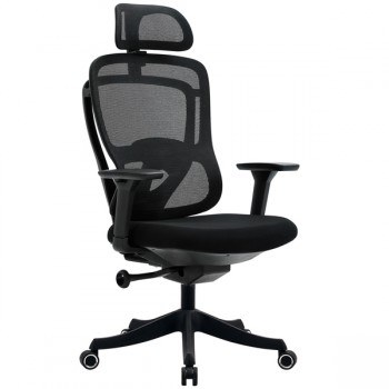 Ghế văn phòng lưng lưới FMX829