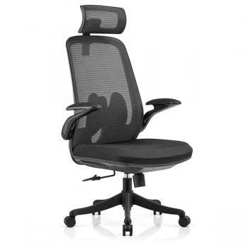 Ghế công thái học FMX627
