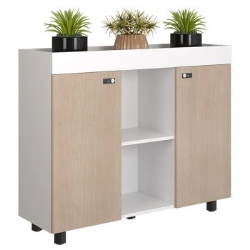 Tủ hồ sơ thấp NTV1000-3T2